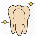 Gesunder Zahn  Symbol