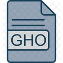 Gho Arquivo Formato Ícone