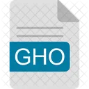 Gho File Format Icon