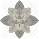 Ghost Plant Succulent Icon