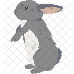 Giant Chinchilla Rabbit  Icon