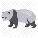 Giant Panda Endangered Species Bamboo Water Icon