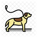 Gießender Hund  Symbol