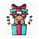 Gift  Icon