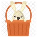 Rabbit Gift Pet Animal Bunny Icon
