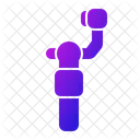 Gimbal stabilizer  Icon