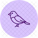 Gimpel  Symbol