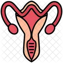 Ginecologia  Ícone