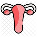 Ginecologia Medicina Utero Ícone