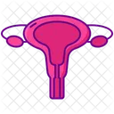 Ginecologo Utero Utero Icon