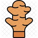 Ginger Food Spice Icon