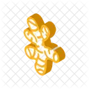 Ginger Root Dish Icon