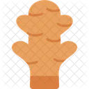 Ginger Food Spice Icon