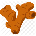 Ginger Root Spice Icon