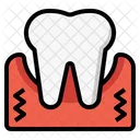 Gingival  Icon