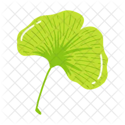 Gingko leaf  Icon