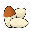 Gingko Nut  Icon