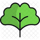 Ginkgo Leaf Vegetable Icon
