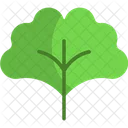 Ginkgo Leaf Vegetable Symbol