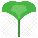 Ginkgo Herbal Leaf Symbol