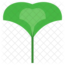 Ginkgo  Icon