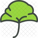 Ginkgo Leaf Nature Icon