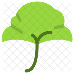 Ginkgo  Symbol