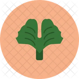 Ginkgo biloba  Icon