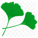 Ginkgoblatt  Symbol
