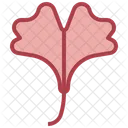 Ginkgo  Icon