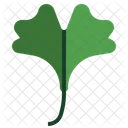 Ginkgo  Icon