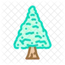 Ginkgo Tree  Icon