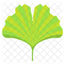 Ginkog Leaf  Icon