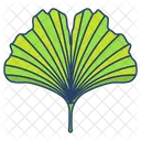 Ginkog Leaf  Icon