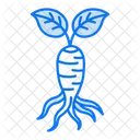 Ginseng  Icon