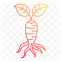 Ginseng  Icon