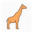 Girafa Pescoco Longo Animal Alto Icon