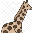 Girafa  Icon