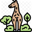 Girafa Vida Selvagem Safari Icon