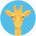 Giraffe Camelopard Animal Icon