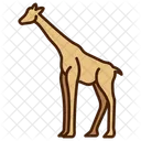 Animal Giraffe Animal Icon