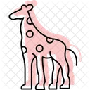 Giraffe Mammal Neck Icon