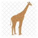 Giraffe Animal Zoo Icon