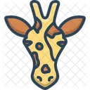Giraffe Giraffa Zoo Icon