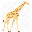 Giraffe Albino Animal Icon
