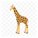 Giraffe  Symbol