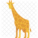 Giraffe  Icon