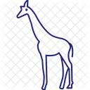 Giraffe Artiodactyl Mammal Ruminant Icon