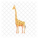 Giraffe Mammal Safari Icon
