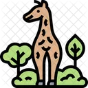 Giraffe Wildlife Safari Icon
